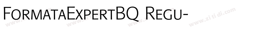 FormataExpertBQ Regu字体转换